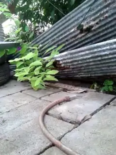 Subs Informasi Homeinfo Homeindotv